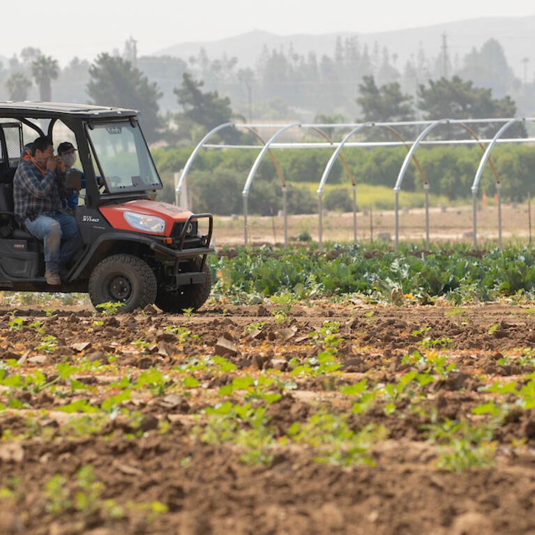 UC Riverside student interns working at the R'Garden in 2020. (UCR/Stan Lim)